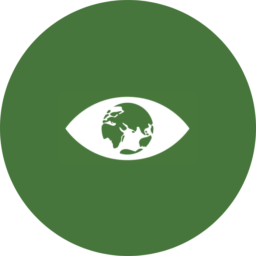 Climate Action Icon
